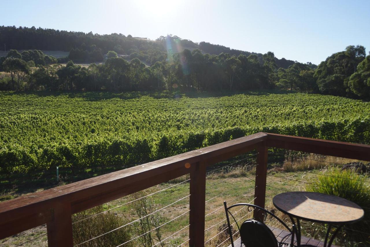 Lodge Peak Winery Short Term Gisborne