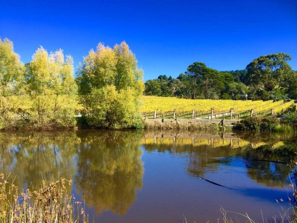 Peak Winery Short Term * Gisborne