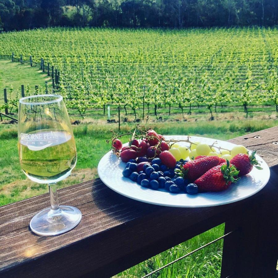 Peak Winery Short Term