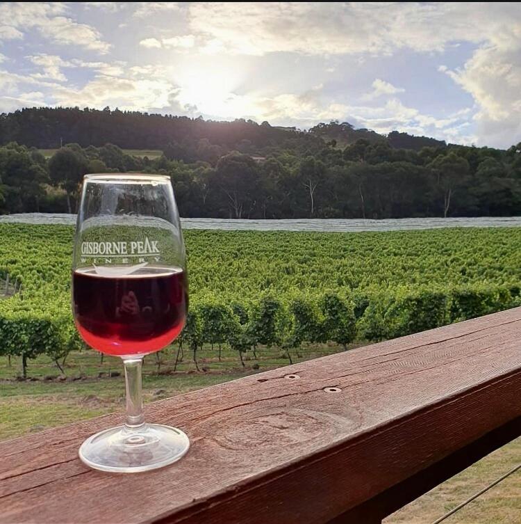 Peak Winery Short Term *
