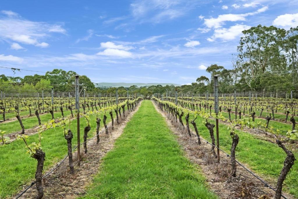 Peak Winery Short Term Gisborne