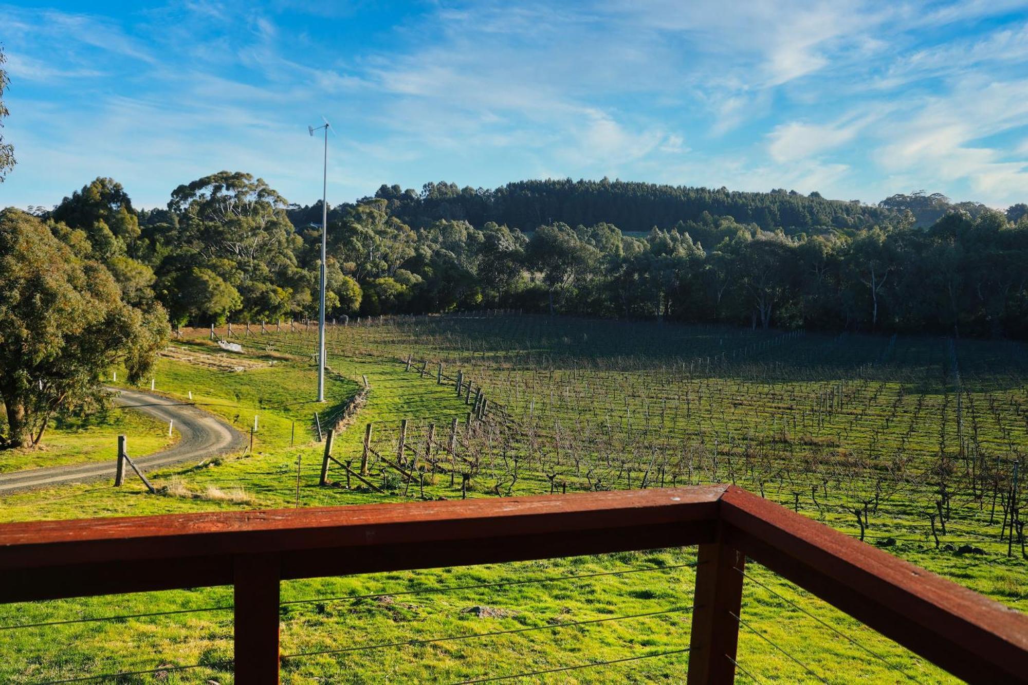 Peak Winery Short Term